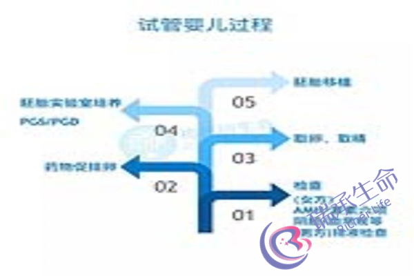 输卵管堵塞可以做试管吗？什么情况下可以做试管？