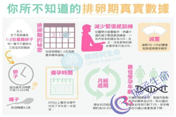 怎么样才能治疗子宫畸形?多少钱呢？