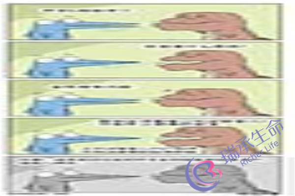 死精子可以做试管吗？成活率是多少？