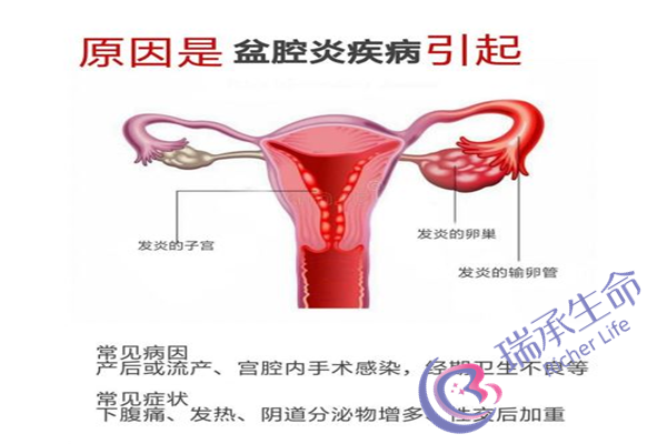 上海做试管费用是多少？移植后要注意哪些问题？